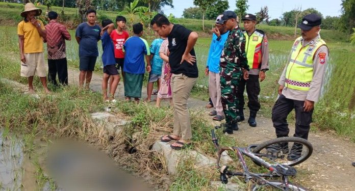 Lansia Ditemukan Meninggal di Sawah Kaliuntu Sambonggede