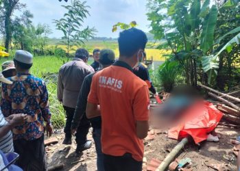 Mayat Pria Ditemukan di Reruntuhan Gubuk Sawah Magersari Tuban