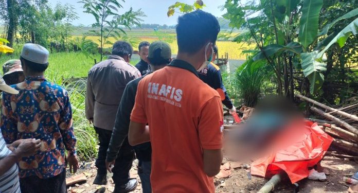 Mayat Pria Ditemukan di Reruntuhan Gubuk Sawah Magersari Tuban