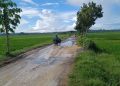 Jalan Antar Desa Makin Berbahaya Setelah Diurug, Warga Meminta Perbaikan Permanen