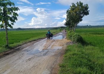 Jalan Antar Desa Makin Berbahaya Setelah Diurug, Warga Meminta Perbaikan Permanen