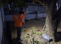 Warga Jenu Meninggal setelah Tersengat Listrik saat Menebang Pohon