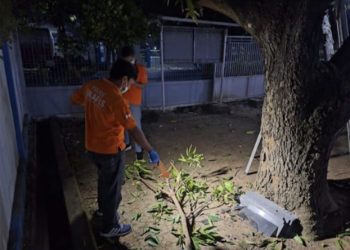 Warga Jenu Meninggal setelah Tersengat Listrik saat Menebang Pohon