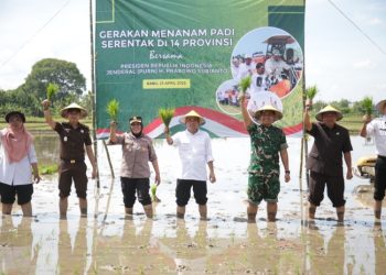 Pemkab Tuban Percepat Tanam Padi untuk Mendukung Swasembada Pangan Nasional