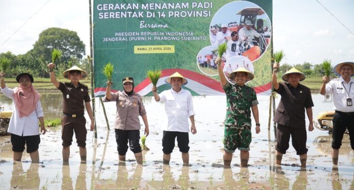 Pemkab Tuban Percepat Tanam Padi untuk Mendukung Swasembada Pangan Nasional