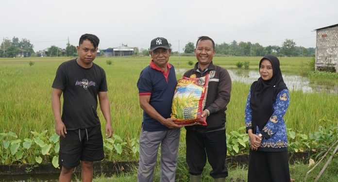 Pemkab Tuban Salurkan Bantuan Benih Padi untuk Petani yang Terdampak Banjir