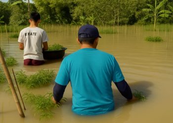 Petani Alami Kerugian Puluhan Juta Karena Banjir di Bengawan Solo