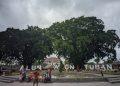Pemkab Tuban Perluas Layanan Internet Gratis di Alun-Alun untuk Akses Informasi