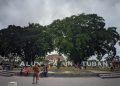 Pesona Alun-Alun Tuban Baru yang Menawan dan Ramah Lingkungan