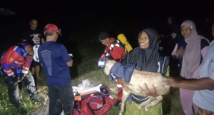 Kambing Terjebak di Sumur, Tim Pemadam Kebakaran Tuban Lakukan Penyelamatan