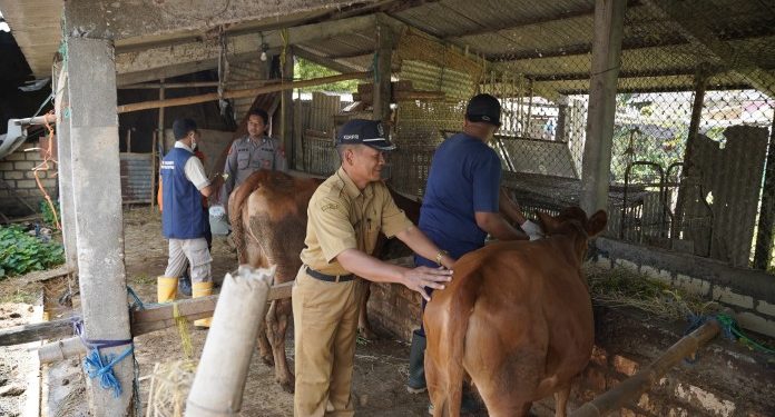 Wabah PMK Masih Berlanjut, DPRD dan DKP2P Tuban Adakan Rapat Kerja