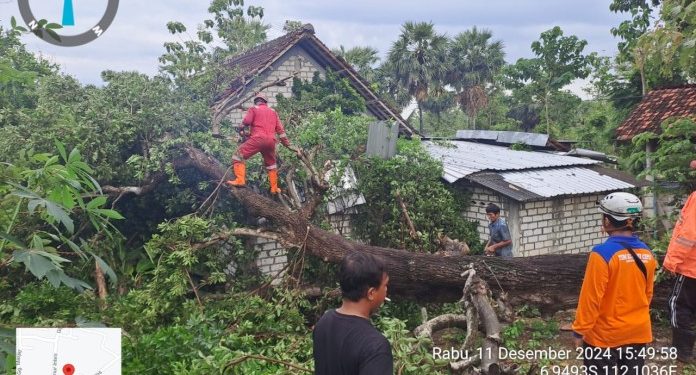 Cuaca Ekstrem Angin Puting Beliung Melanda Dua Desa di Semanding