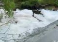 Busa Tebal Menyelimuti Permukaan Sungai Mojoagung Mengejutkan Warga