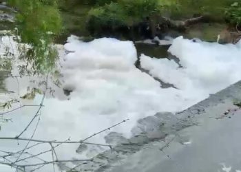 Busa Tebal Menyelimuti Permukaan Sungai Mojoagung Mengejutkan Warga