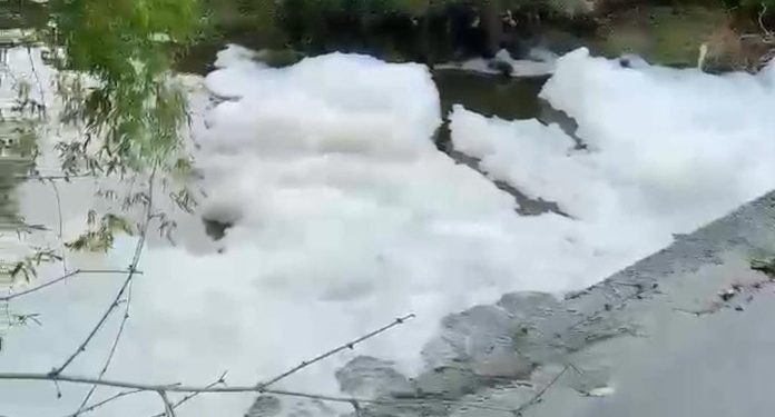 Busa Tebal Menyelimuti Permukaan Sungai Mojoagung Mengejutkan Warga