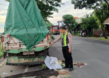 Dua Pengendara Motor dari Lamongan Meninggal Usai Tabrak Truk Karena Tak Konsentrasi