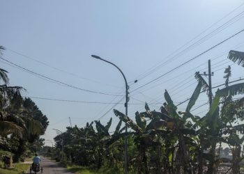 Kabel Wifi Berantakan Rusak Estetika Kota DLHP Tuban Sebut Tak Pernah Ada Komunikasi dari Penyedia