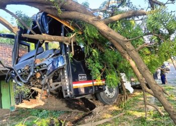 Bus Oleng Menabrak Pohon di Bancar Tuban, Tidak Ada Korban Jiwa