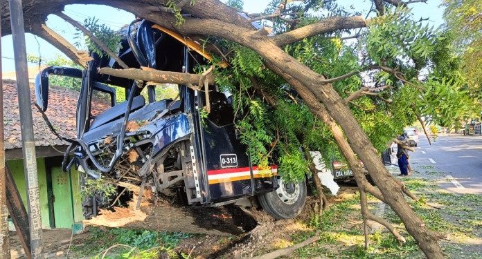 Bus Oleng Menabrak Pohon di Bancar Tuban, Tidak Ada Korban Jiwa