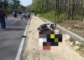 PNS dari Bojonegoro Meninggal Dunia Akibat Kecelakaan Tunggal di Jalan Tuban-Babat