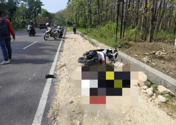 PNS dari Bojonegoro Meninggal Dunia Akibat Kecelakaan Tunggal di Jalan Tuban-Babat