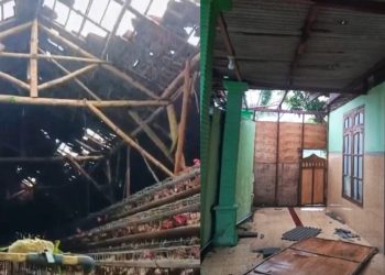 Puluhan Rumah di Singgahan Hancur Akibat Terjangan Puting Beliung