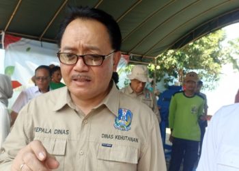 Rekayasa Mangrove Tahan Abrasi di Pesisir Tuban oleh Dinas Kehutanan