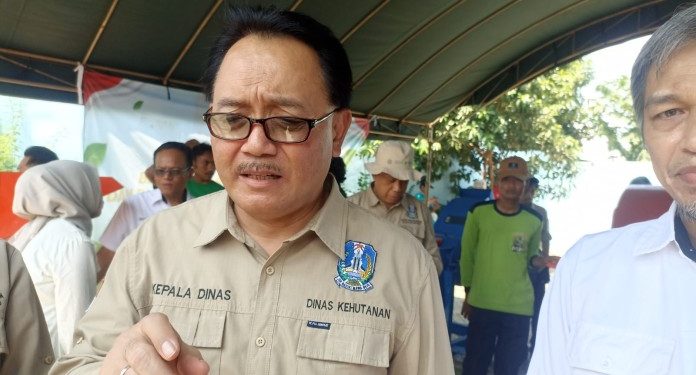 Rekayasa Mangrove Tahan Abrasi di Pesisir Tuban oleh Dinas Kehutanan
