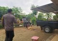 Pesan Mesra Berujung Tragedi, Perangkat Desa Tewas Dibunuh Tetangga Sendiri